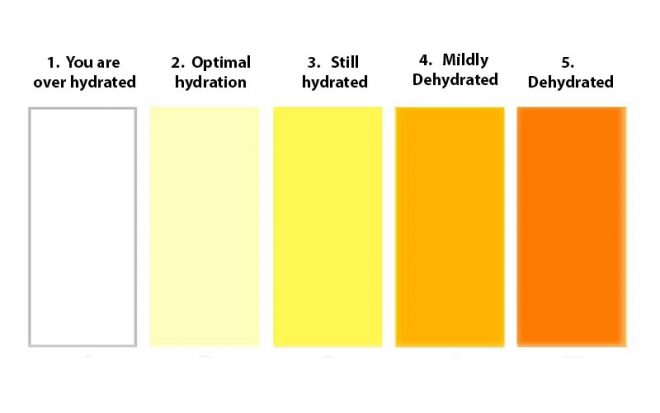 How dehydrated are you?