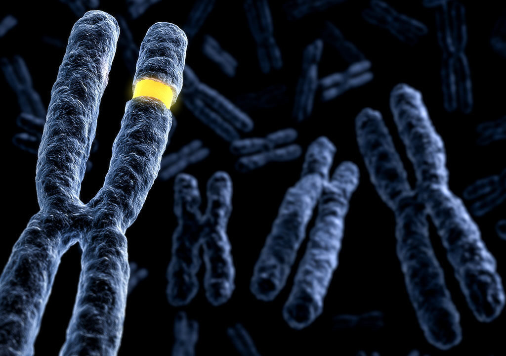 The study found increased activity in anti-cancer genes in people undergoing intermittent day time fasting